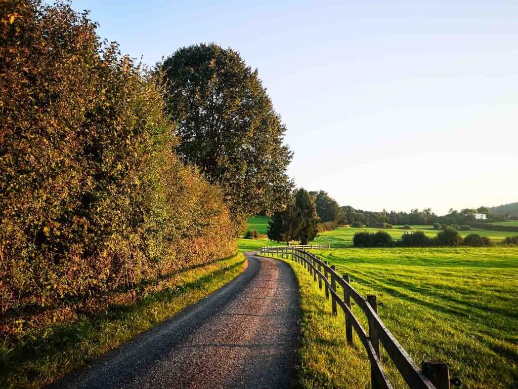 Goldene Stunde bestes Licht im Tagesverlauf