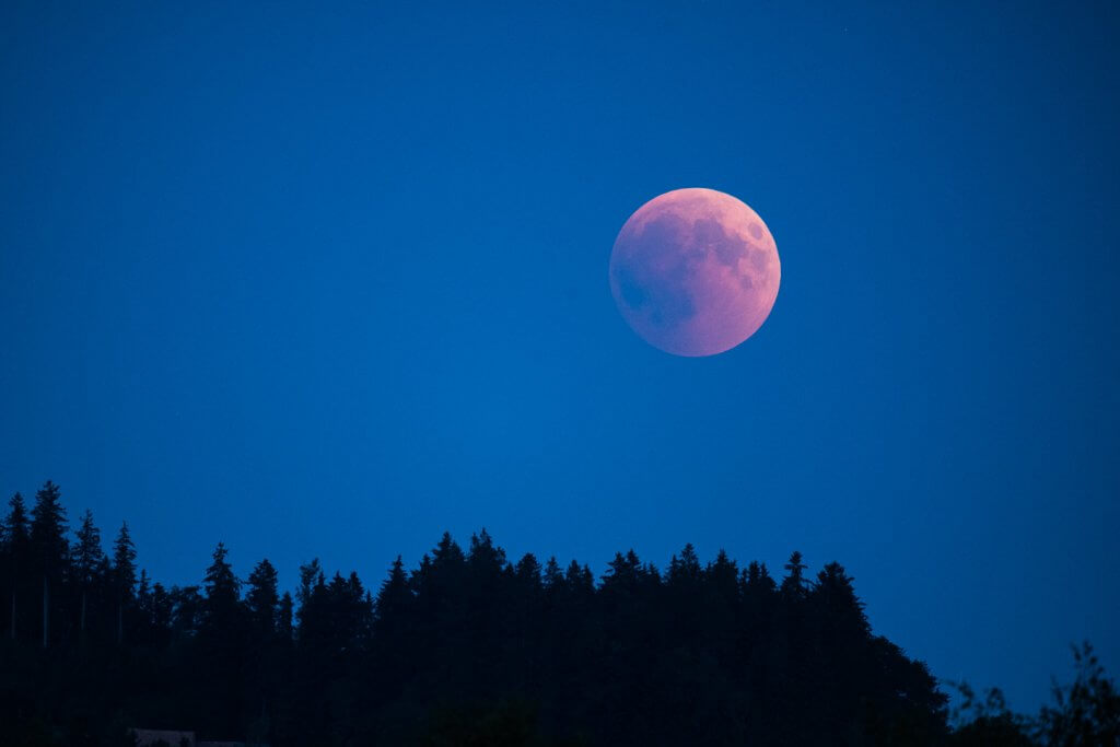 aufgehender Blutmond fotografieren aufgehender Blutmond fotografieren