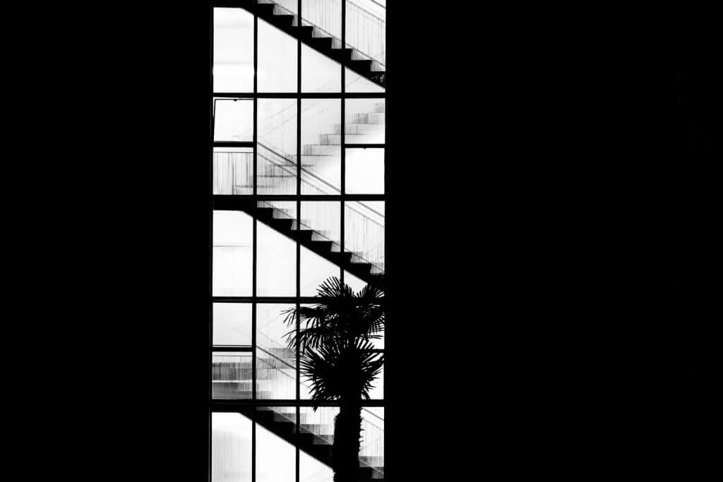 Treppenhaus hinter Glas in Schwarzweiss Schwarzweissfoto eines Treppenhauses hinter einer Glasfassade mit diagonalen Treppen und einer Palmensilhouette.